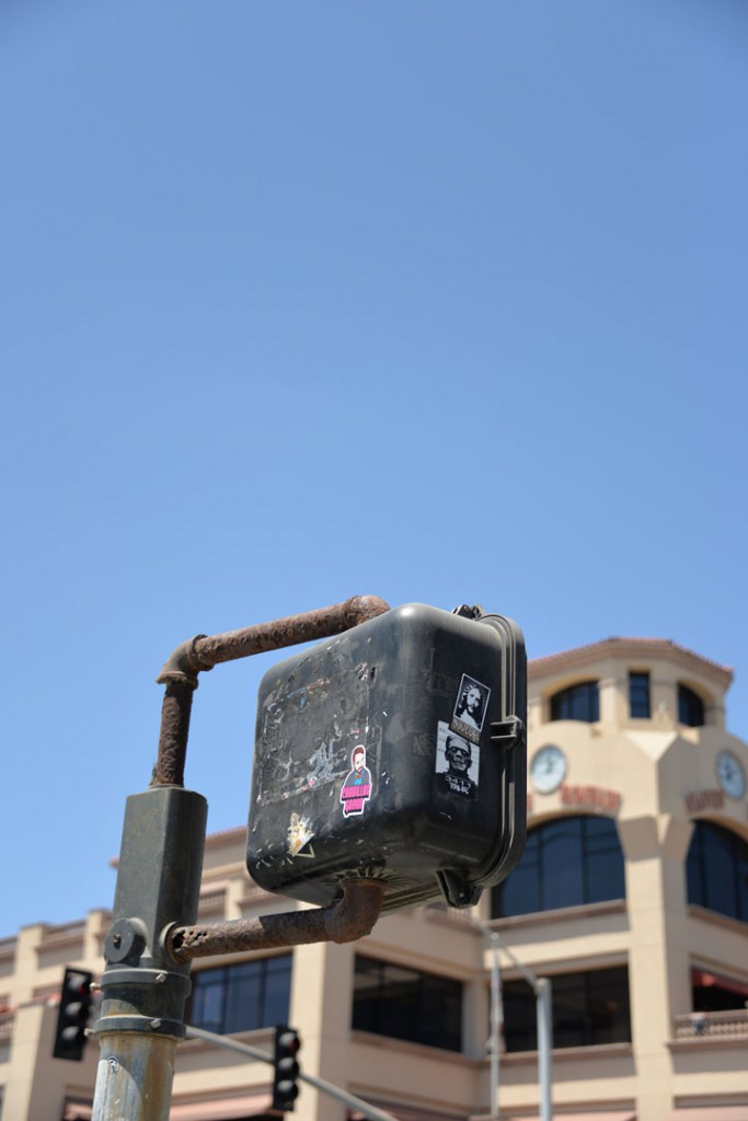 DSC_2407